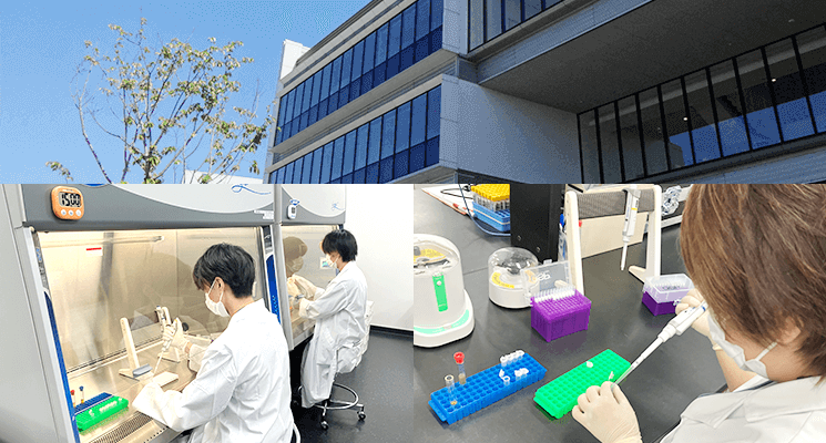 STD研究所　エニーラボラトリー